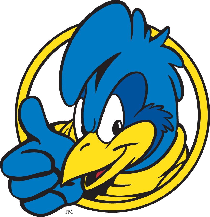 Delaware Blue Hens 1999-2009 Mascot Logo v10 iron on transfers for T-shirts